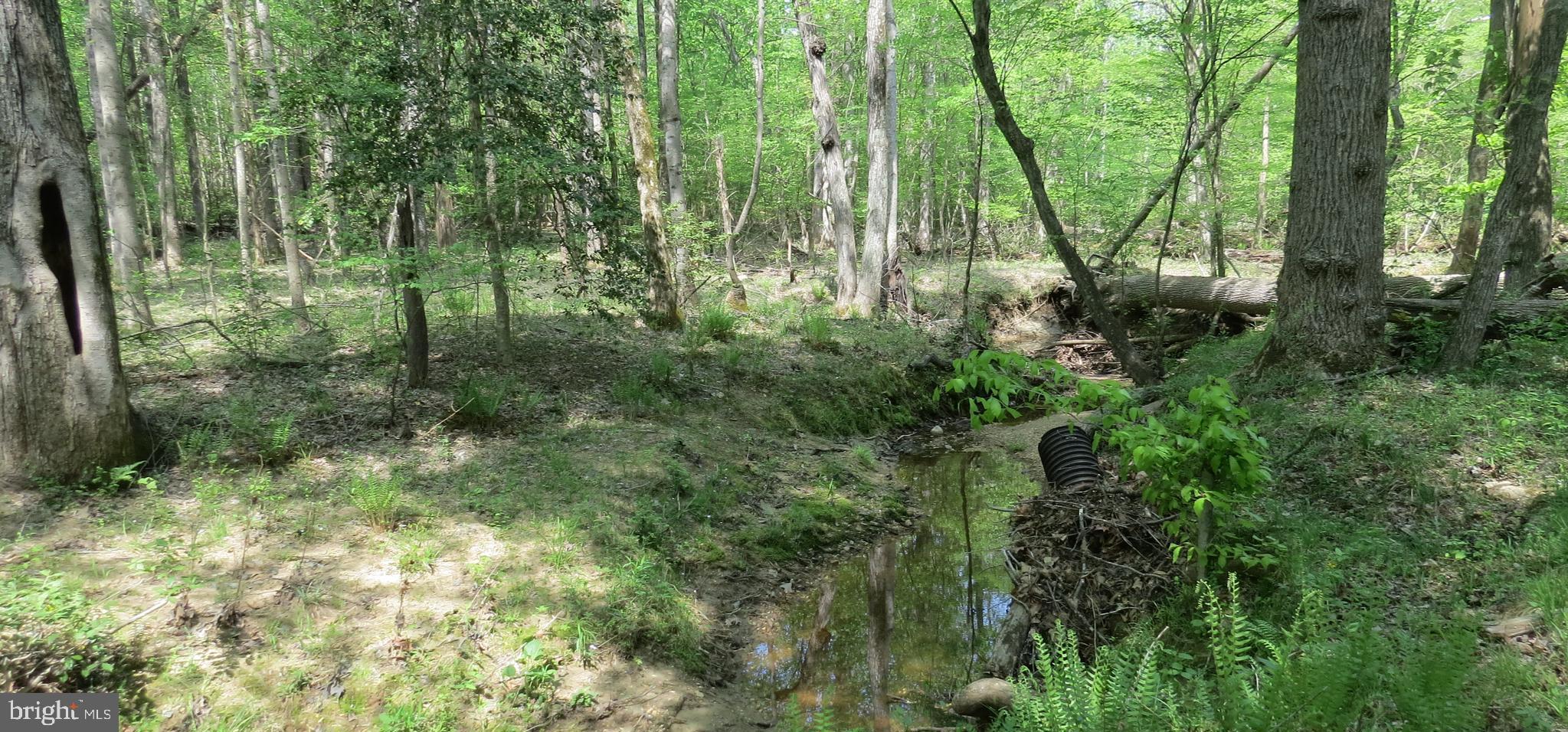 29408 Mine Run Road Unionville, VA 22567 - Photo 6 of 16 Gallery Image 6