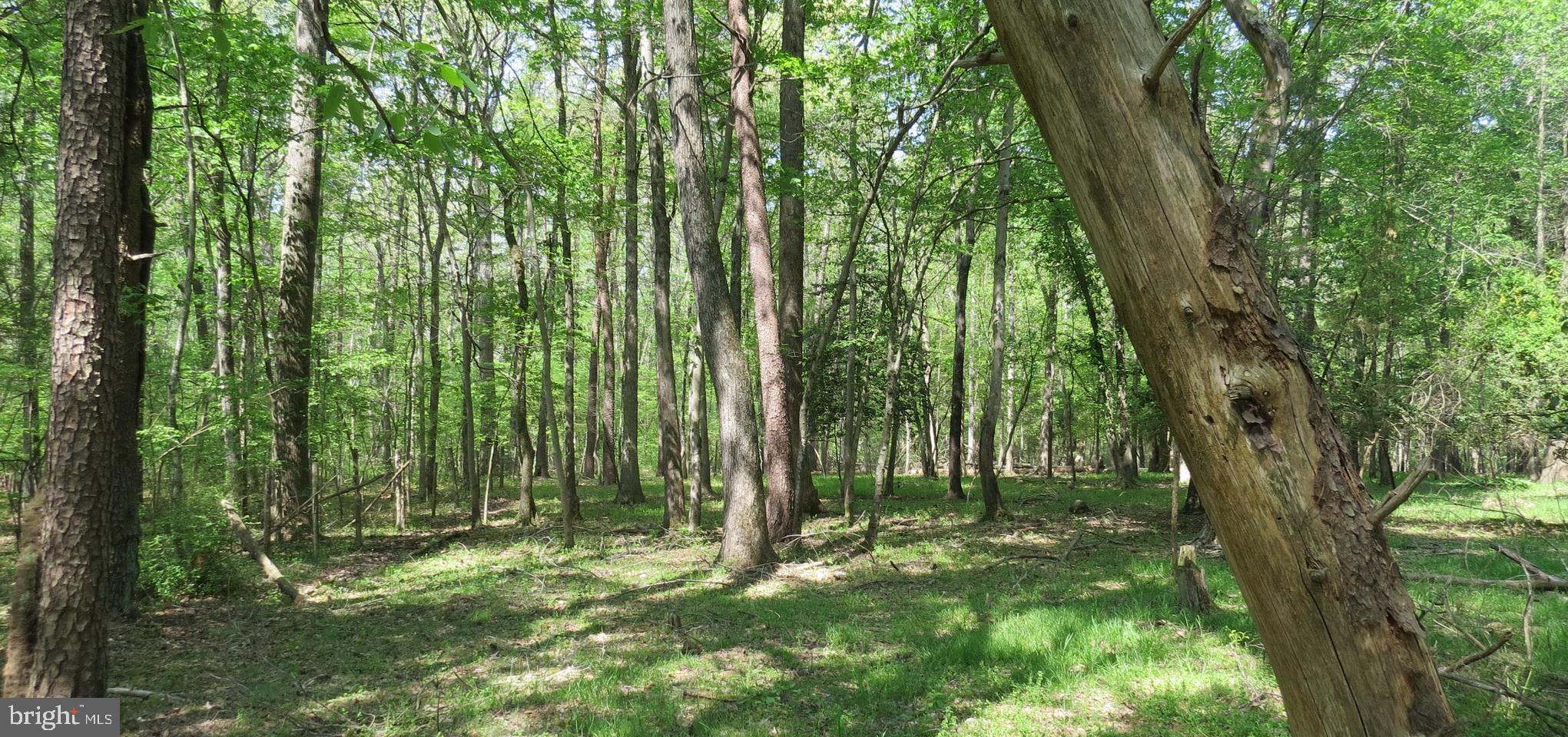 29408 Mine Run Road Unionville, VA 22567 - Photo 10 of 16 Gallery Image 10