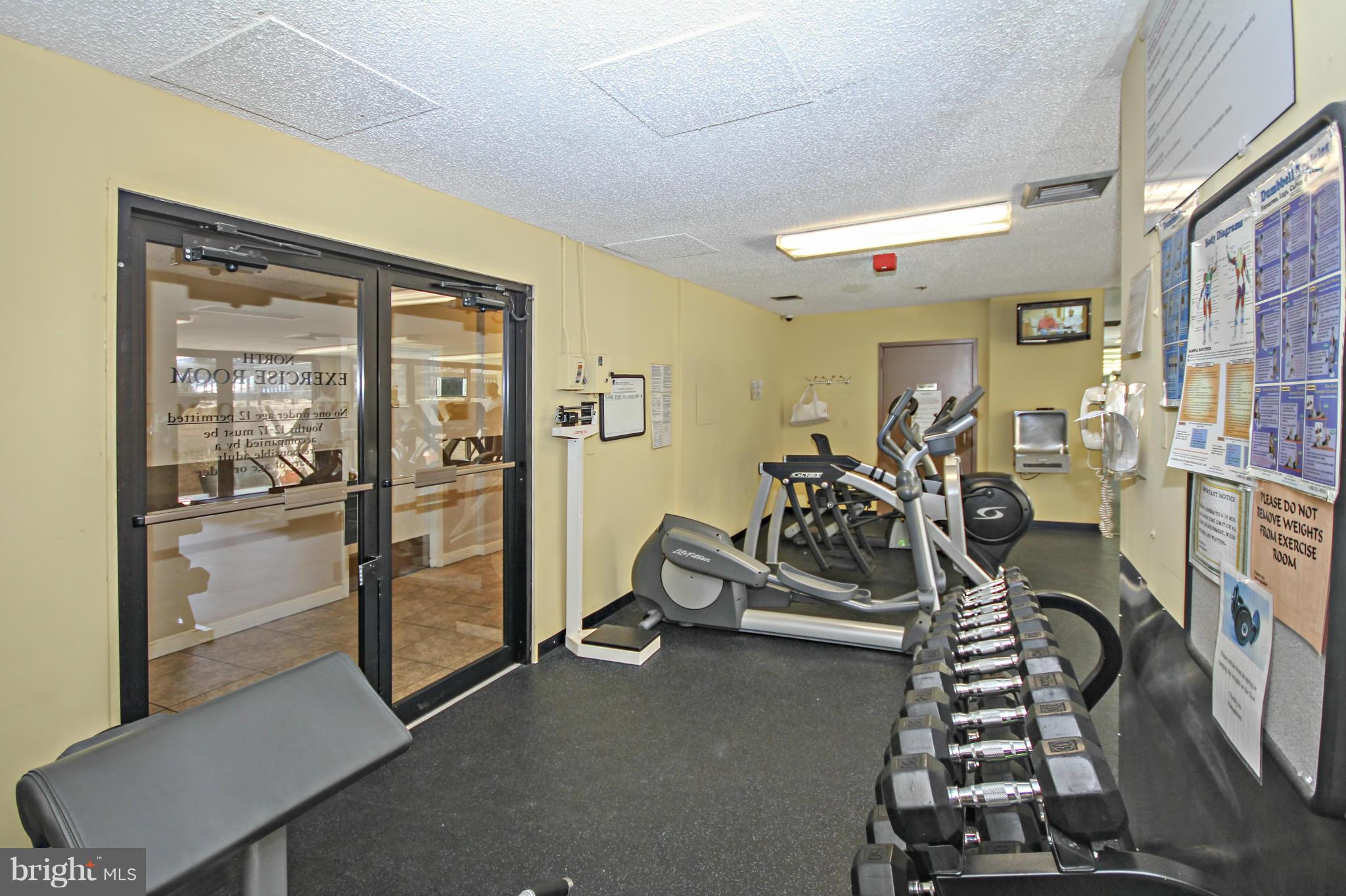 5505 Seminary Road, Unit 1301N Falls Church, VA 22041 - Photo 24 of 29 3 Gyms
