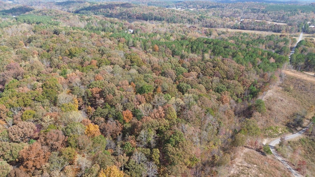 0 Keith Salem Road Ringgold, GA 30736 - Photo 8 of 11 Gallery Image 8