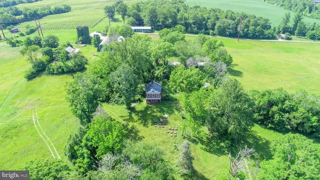 a backyard of a house with large trees and plants