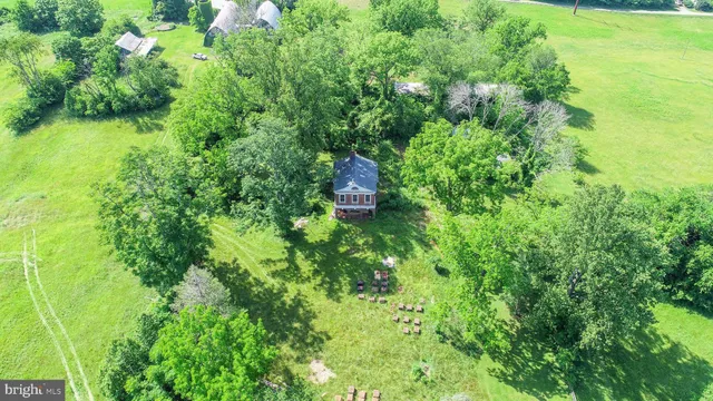 a view of a city with lush green forest