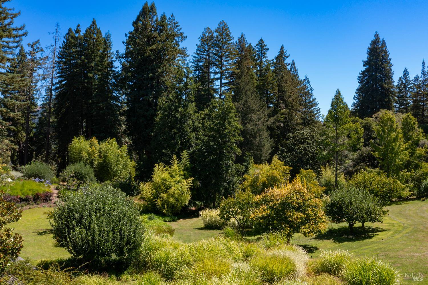 20205 Tumbling McD Road Philo, CA 95466 - Photo 60 of 78