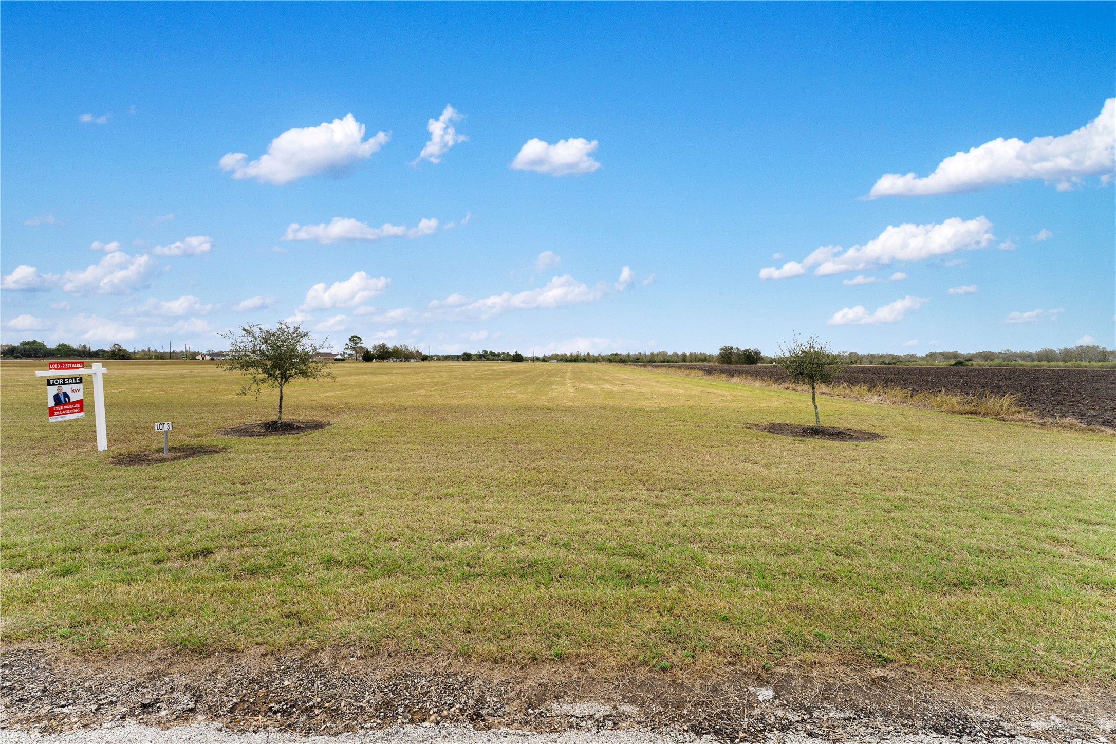 Lot 2 Neal Road Beasley, TX 77417 - Photo 16 of 26