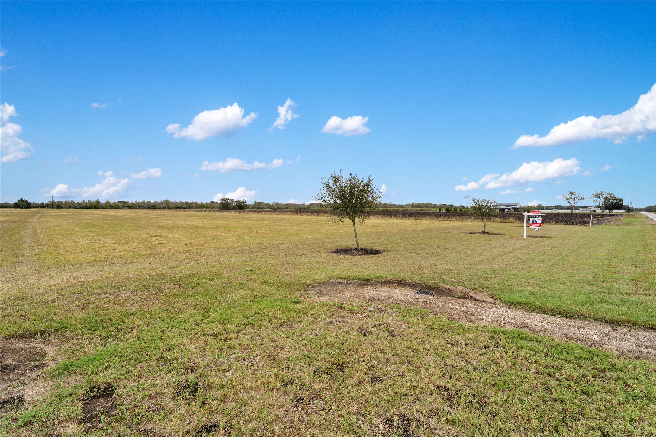 Lot 2 Neal Road Beasley, TX 77417 - Photo 18 of 26