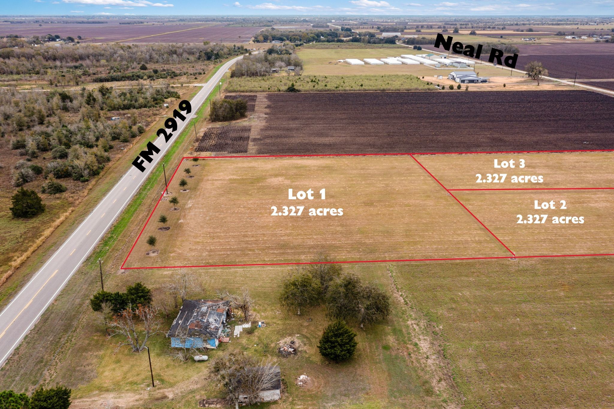 Lot 2 Neal Road Beasley, TX 77417 - Photo 10 of 26