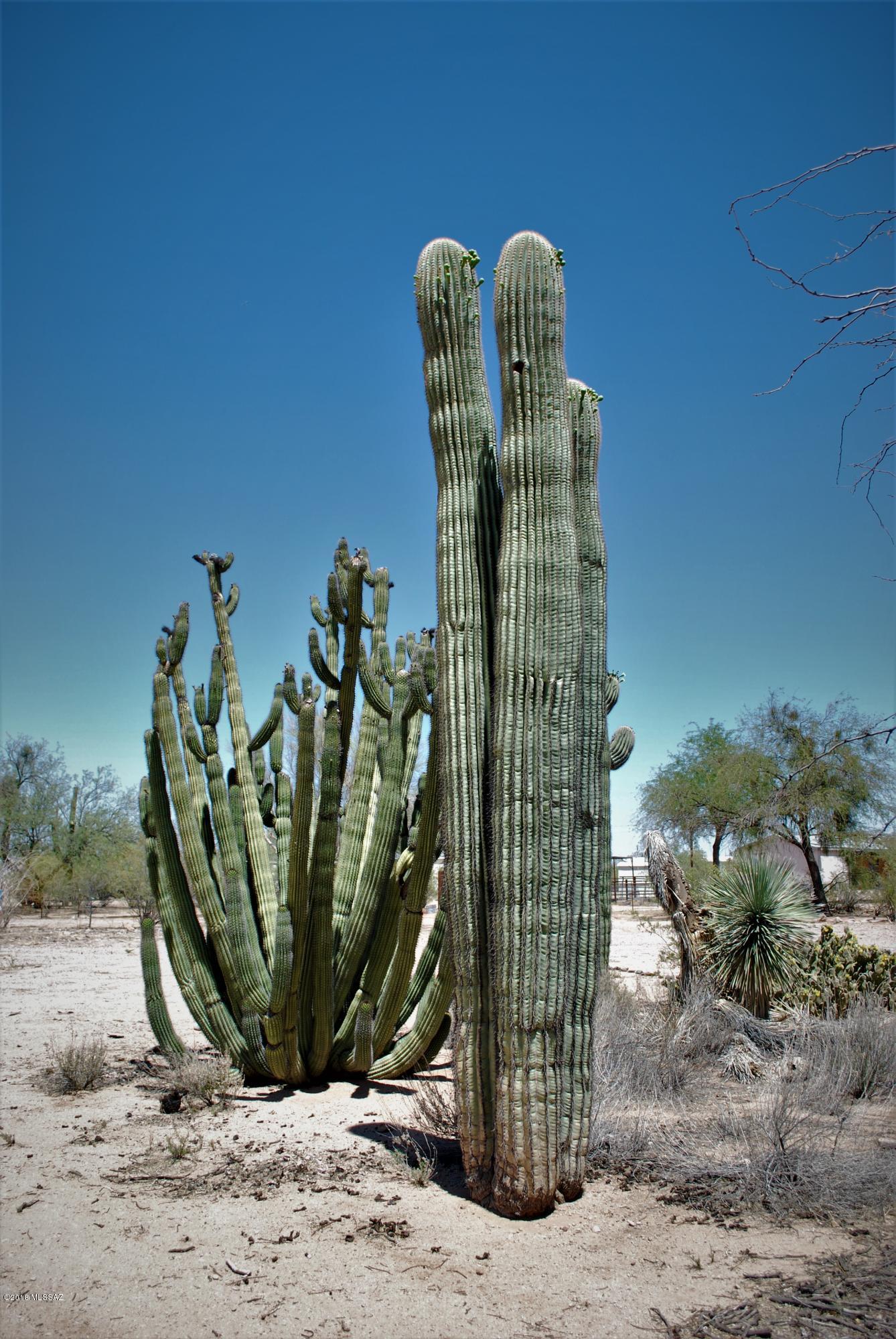 13054 West El Lobo Road Tucson, AZ 85743 - Photo 4 of 20 Gallery Image 4