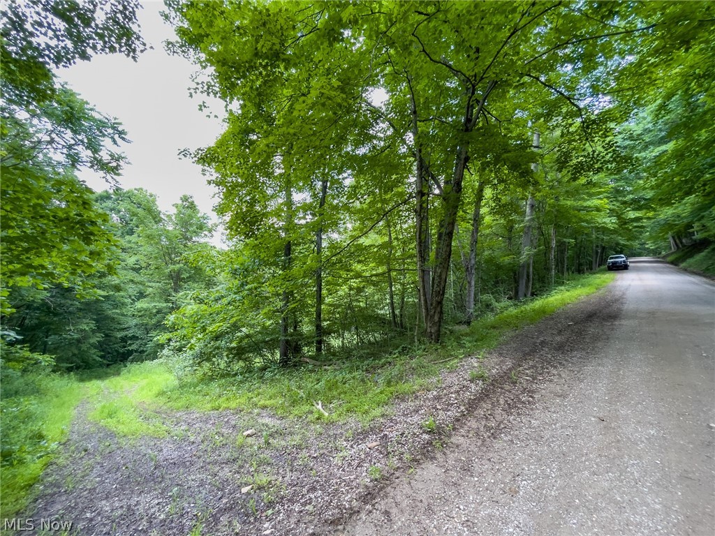 Ginger Road Freeport, OH 43973 - Photo 2 of 35