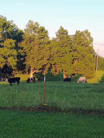 $129,900 | 179 Howard Hutsell Lane, Spring City, TN 37381