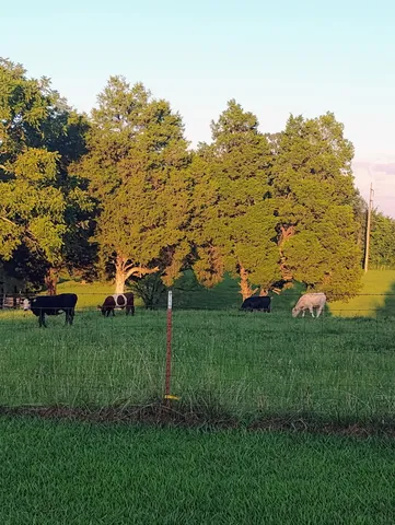 $140,000 | 179 Howard Hutsell Lane, Spring City, TN 37381