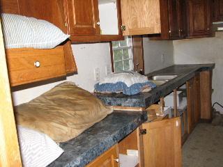 57801 89th Avenue Decatur, MI 49045 - Photo 3 of 5 Additional Photo