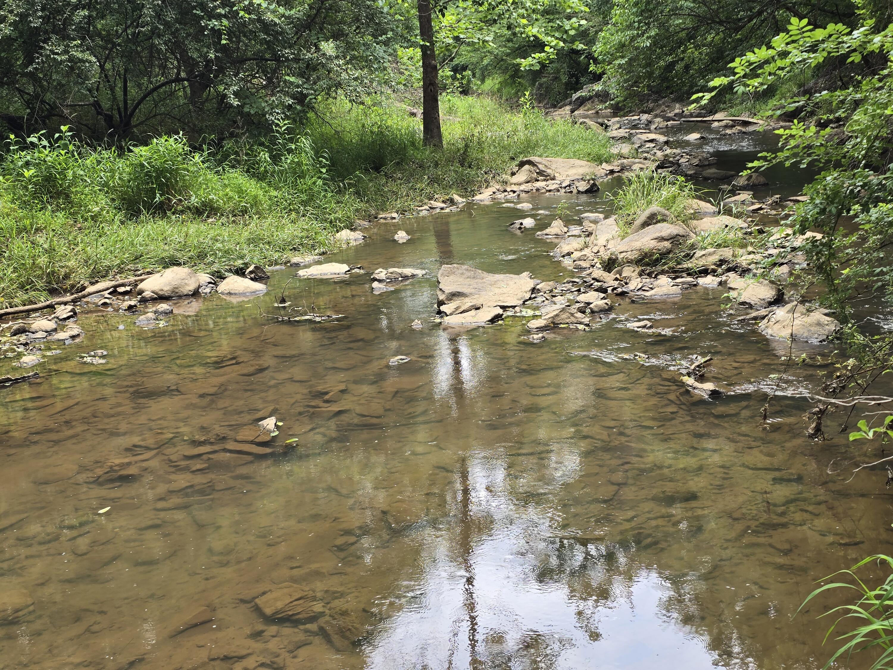 218 North Branch Road Bedford, VA 24523 - Photo 46 of 58 Little otter river