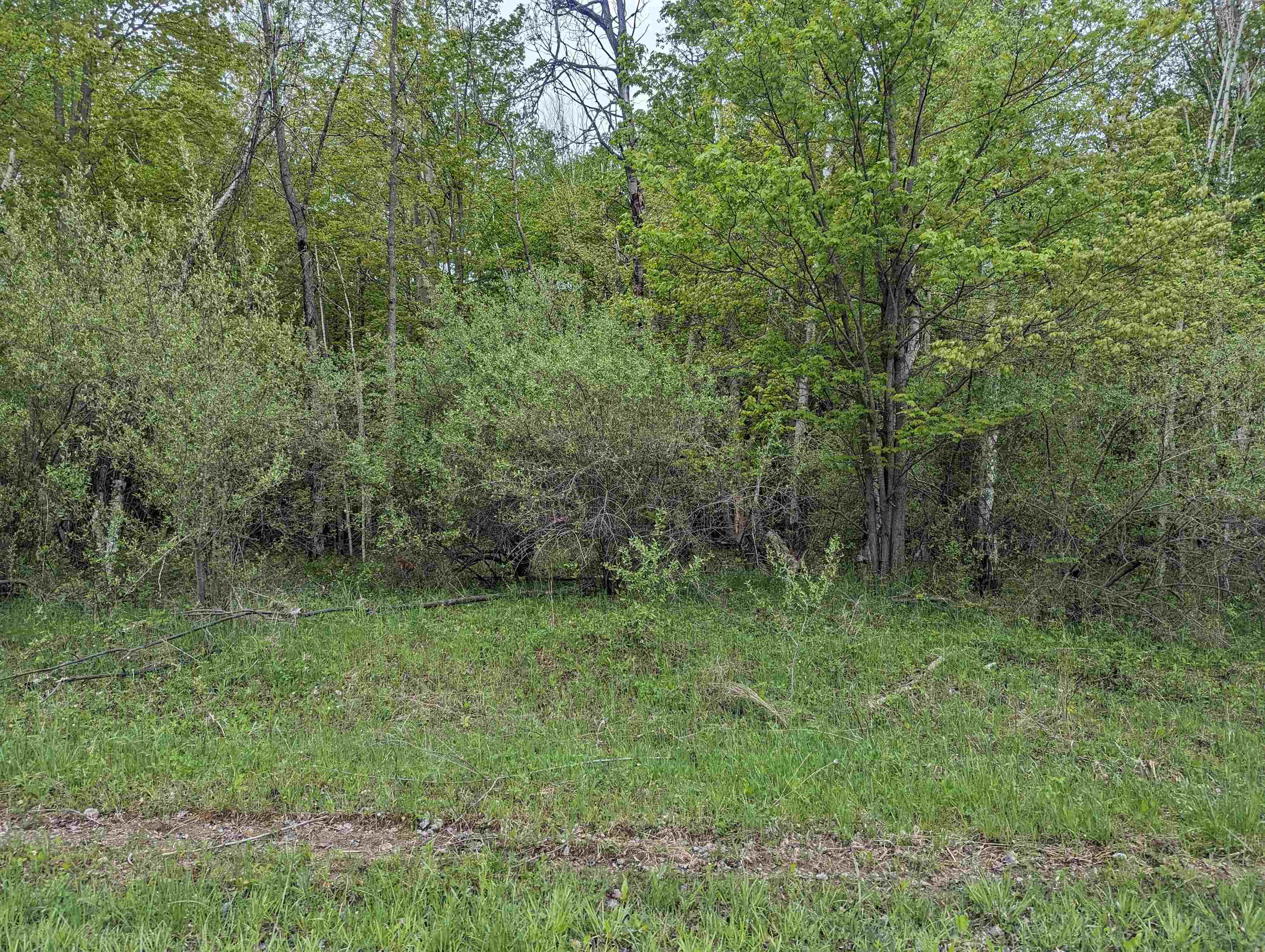 N/a North Lentner Road Turner, MI 48765 - Photo 3 of 10