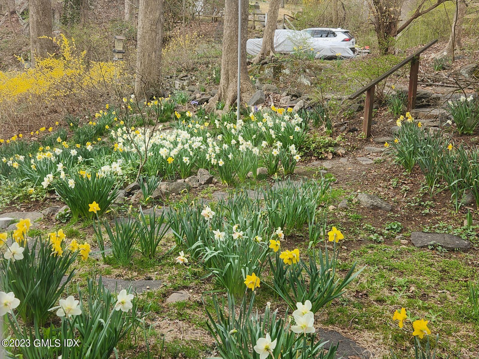 96 Cat Rock Road Cos Cob, CT 06807 - Photo 34 of 38 a view of a bunch of flowers