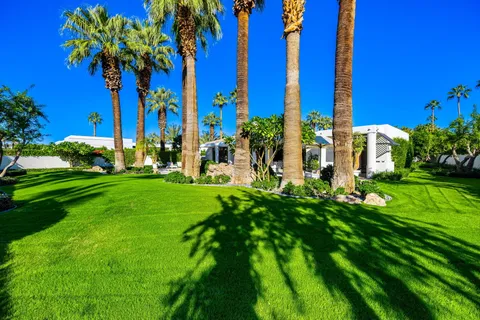 a view of swimming pool with lawn chairs potted plants and large tree