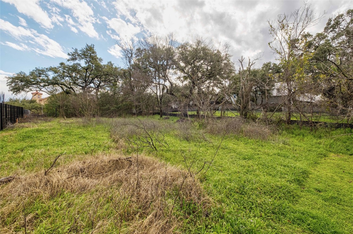 2421 South 5th Street Austin, TX 78704 - Photo 8 of 21 a view of a field with an trees