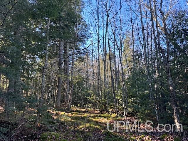 0 North Point Road Au Train, MI 49806 - Photo 18 of 20