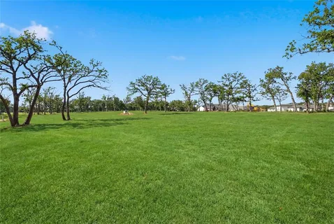 a view of a grassy field with trees