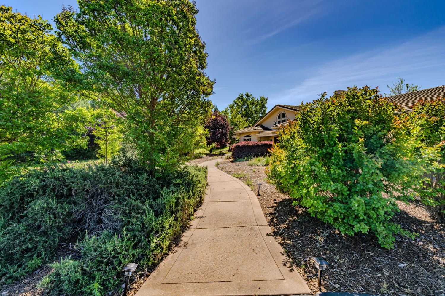 5151 Milton Ranch Road Shingle Springs, CA 95682 - Photo 4 of 89