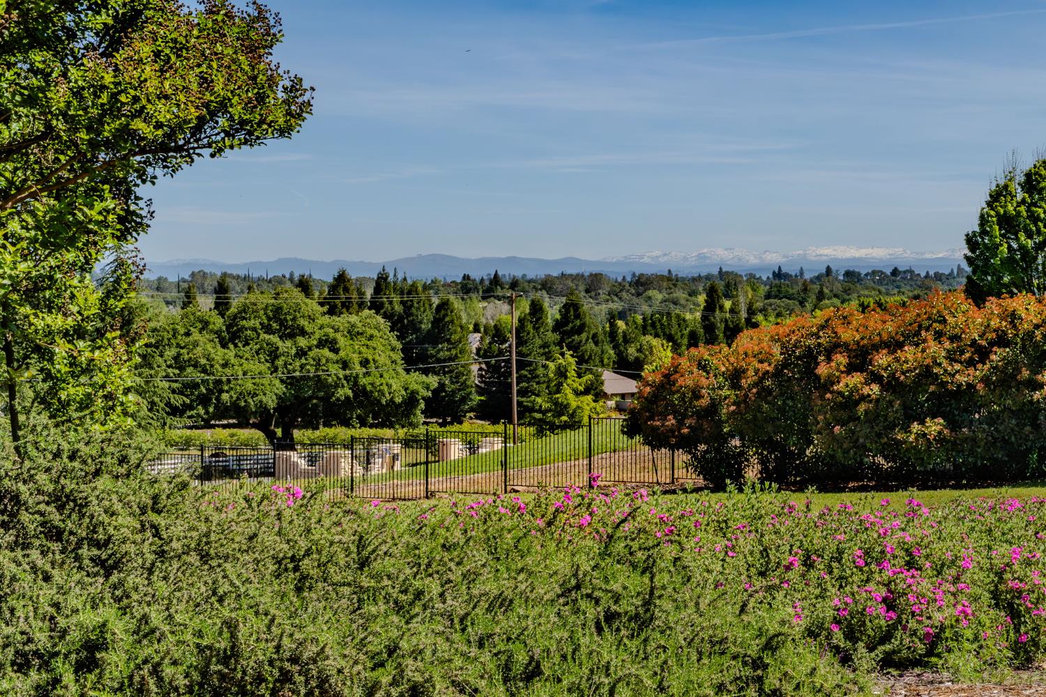 5151 Milton Ranch Road Shingle Springs, CA 95682 - Photo 65 of 89