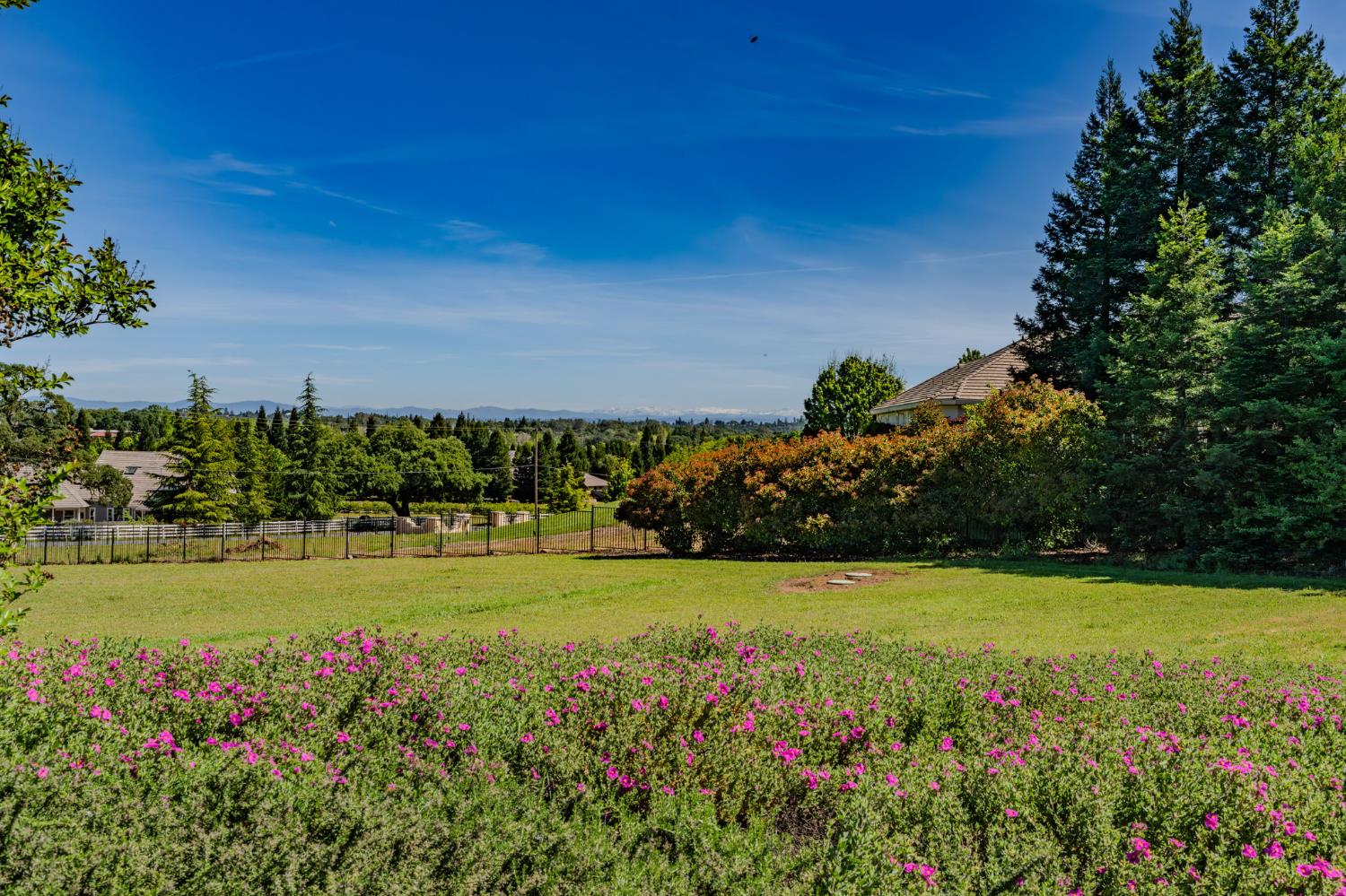 5151 Milton Ranch Road Shingle Springs, CA 95682 - Photo 7 of 89
