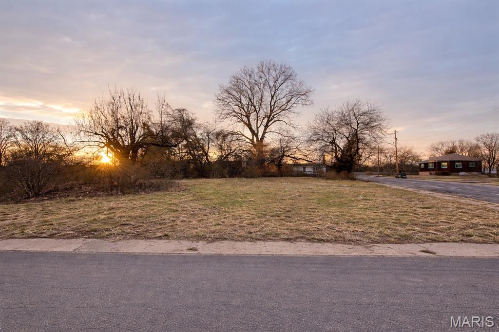 217 West 2nd Street Madison, IL 62060 - Photo 1 of 5