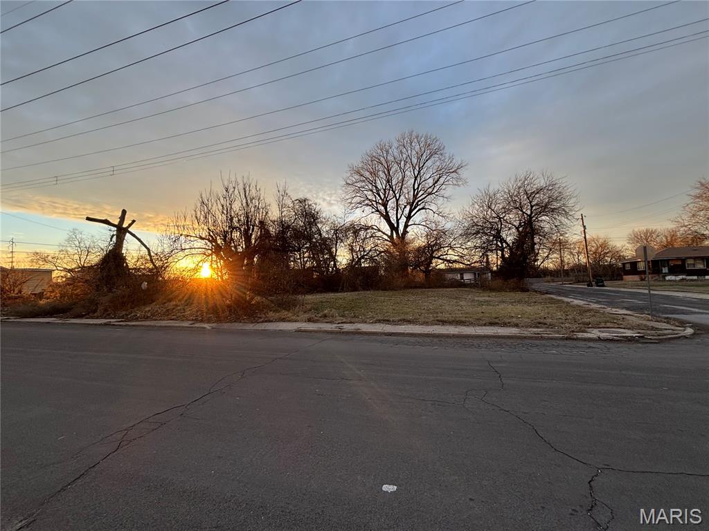 217 West 2nd Street Madison, IL 62060 - Photo 4 of 5