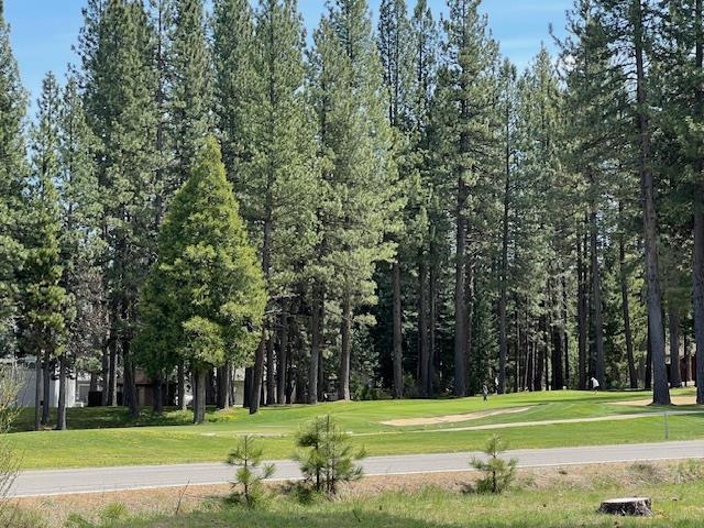 101 Poplar Valley Road Blairsden, CA 96103 - Photo 2 of 21