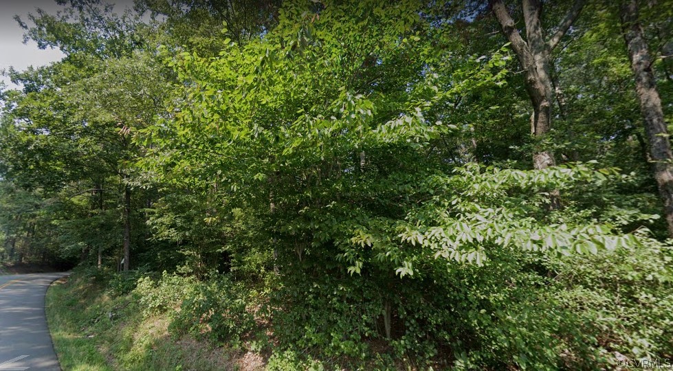 Tbd Terminal Road Quinton, VA 23141 - Photo 3 of 6 Gallery Image 3