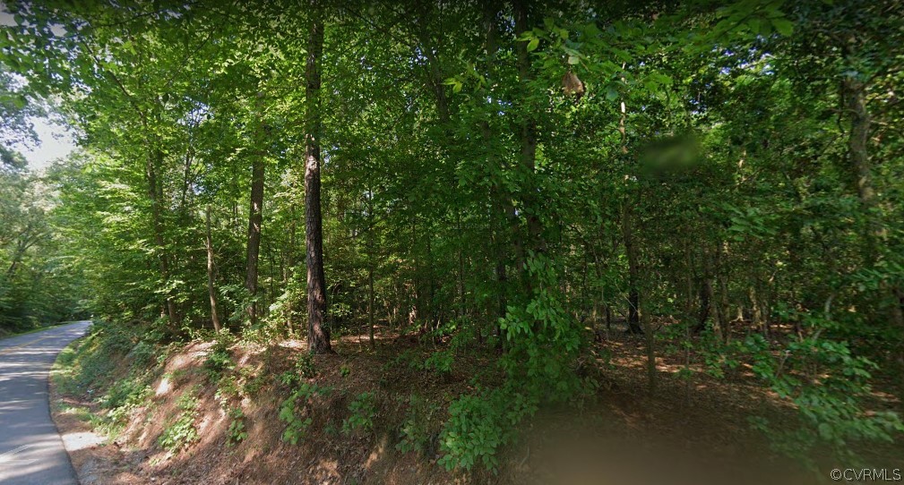 Tbd Terminal Road Quinton, VA 23141 - Photo 4 of 6 Gallery Image 4
