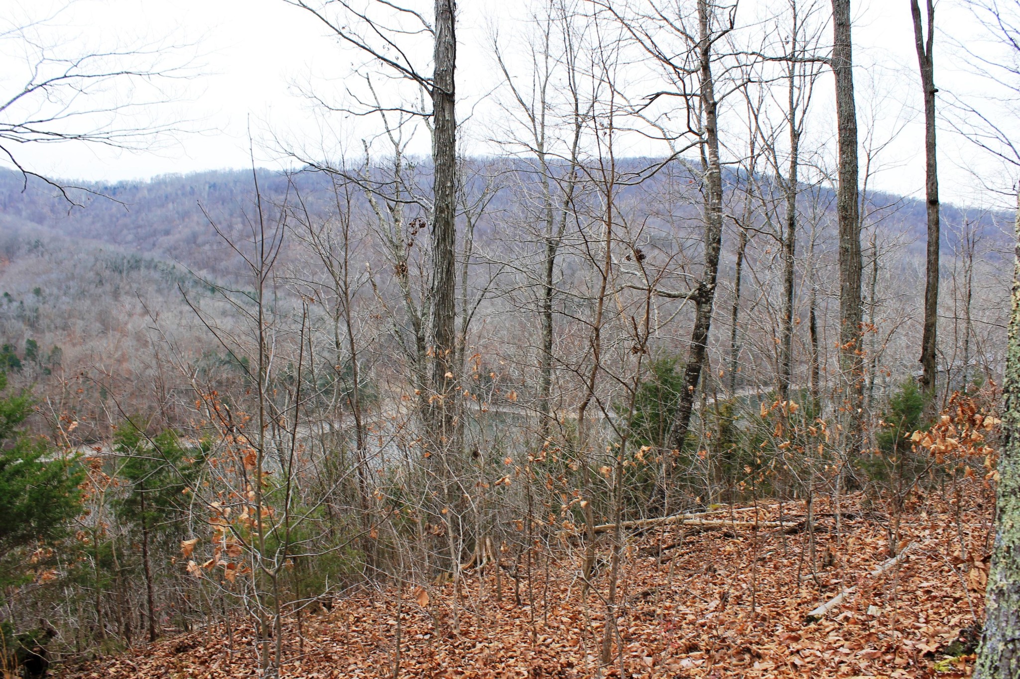 2 Cornerstone Pkwy Point Allons, TN 38541 - Photo 12 of 13