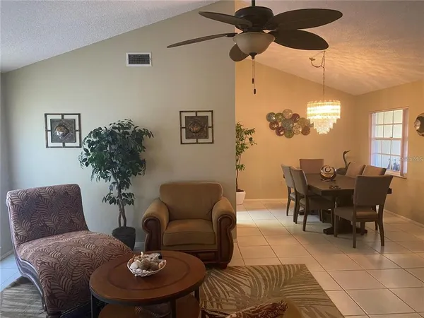 a living room with furniture potted plant and a window
