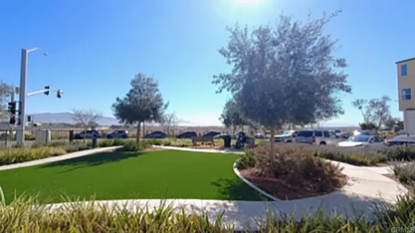 a view of a park with large trees