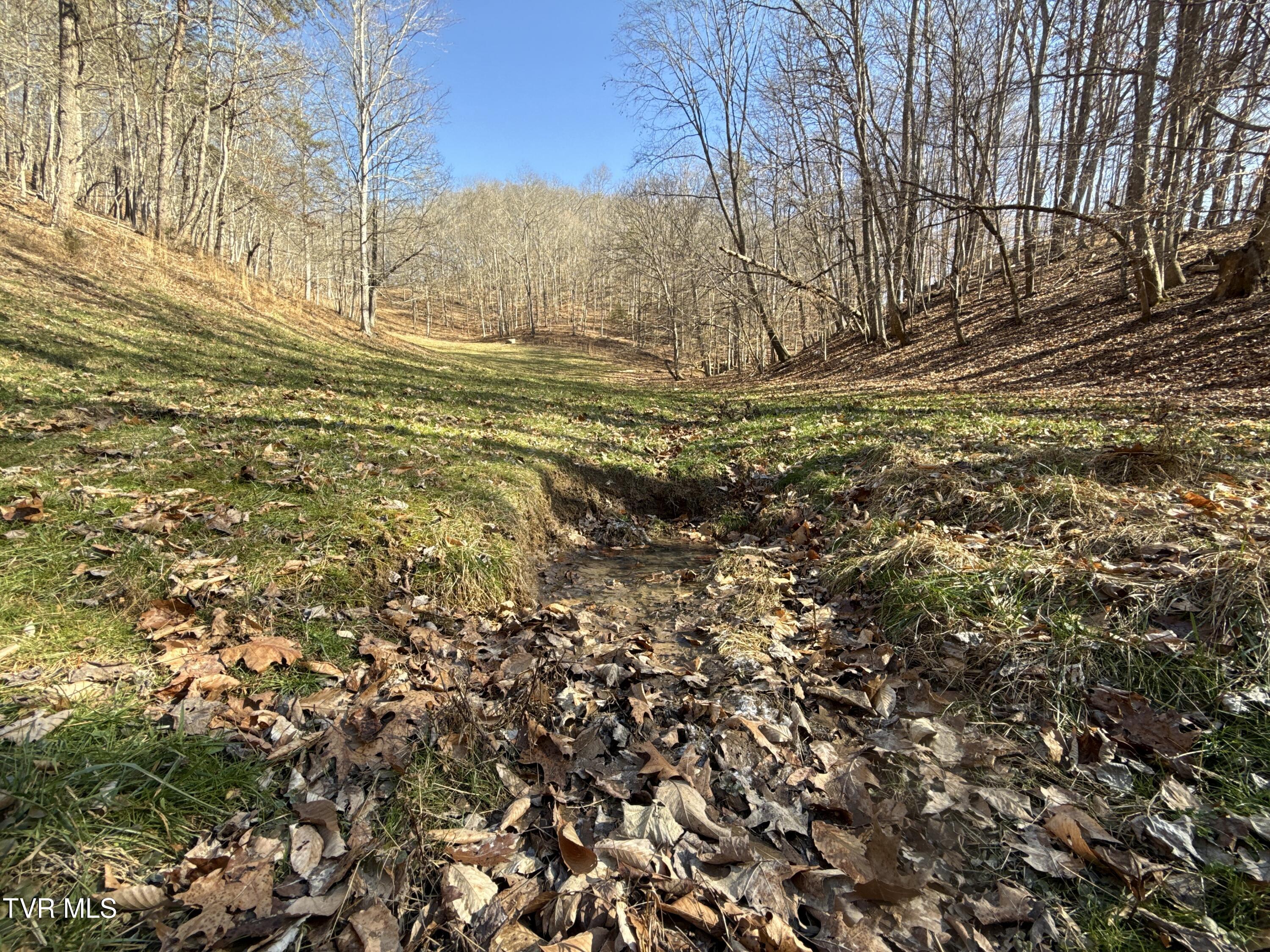 219 Ridge Road Eidson, TN 37731 - Photo 53 of 72 _Pic54 (13)