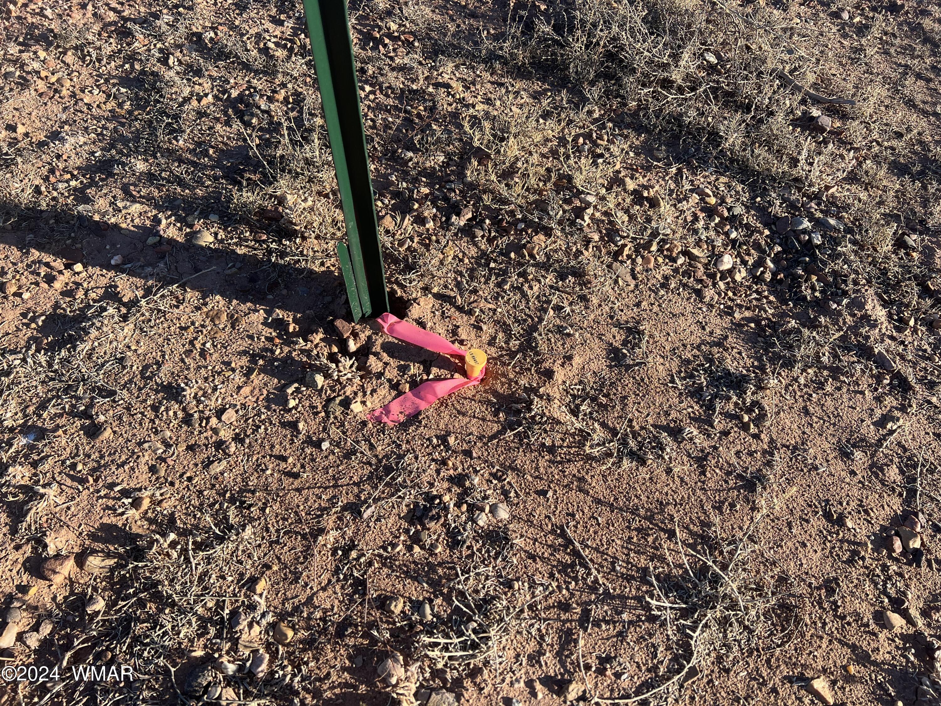 Lot 9 Airport Loop Road Taylor, AZ 85939 - Photo 5 of 7