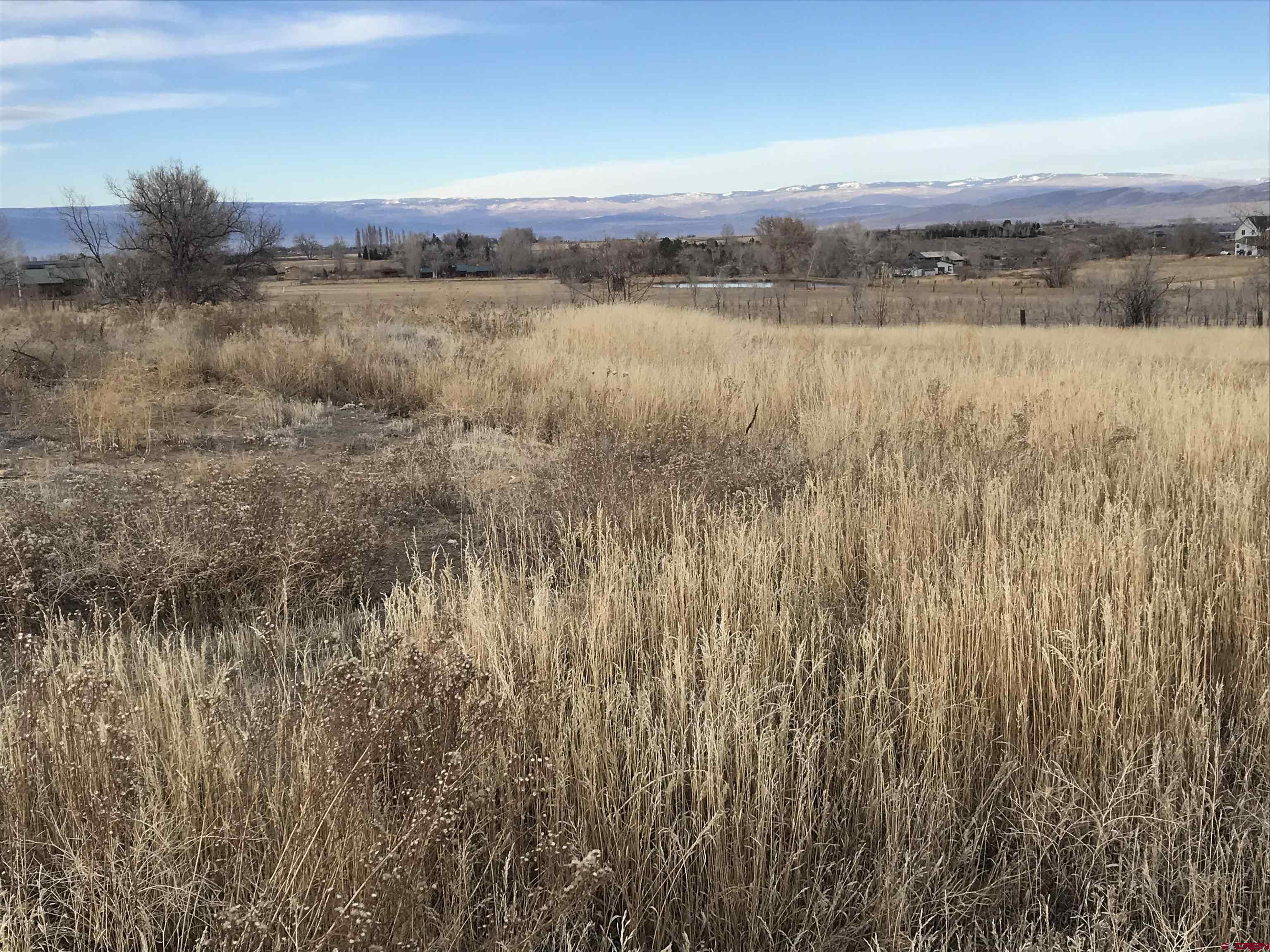 58509 Spring Creek Road Montrose, CO 81403 - Photo 8 of 28 Gallery Image 8