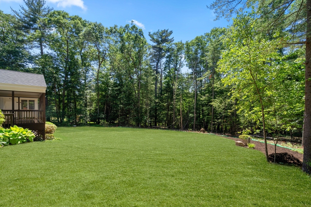 62 Mill Street Sherborn, MA 01770 - Photo 3 of 36 a view of a green field with trees in the background