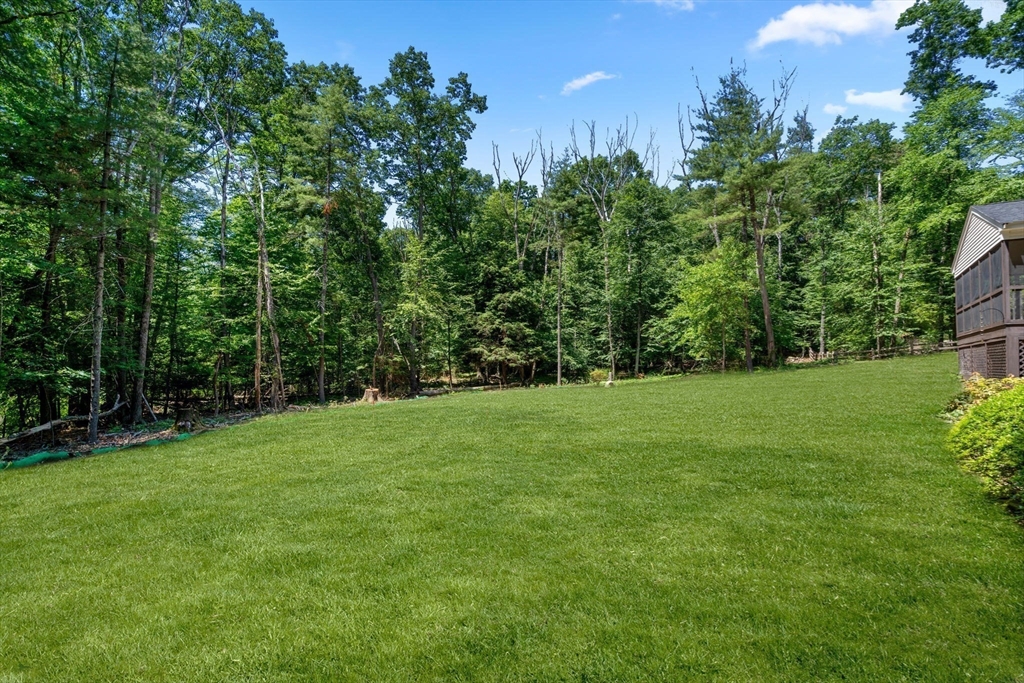 62 Mill Street Sherborn, MA 01770 - Photo 32 of 36 a view of a grassy field with trees