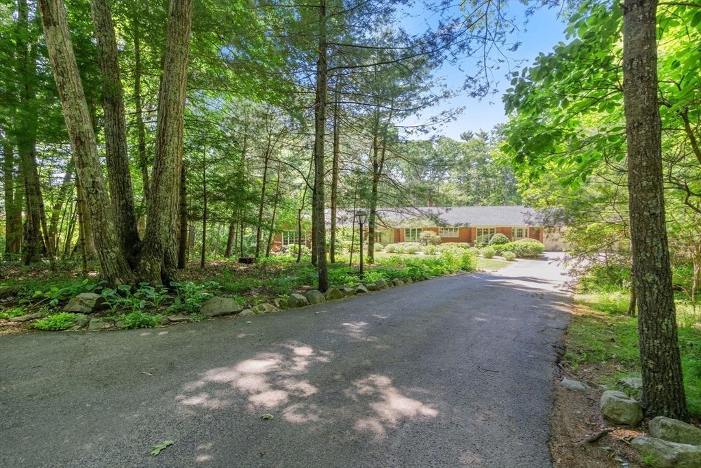 62 Mill Street Sherborn, MA 01770 - Photo 33 of 36 a view of a street with a trees