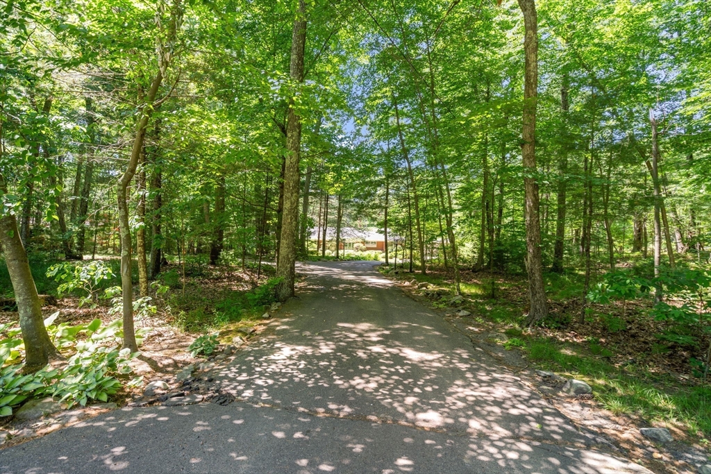 62 Mill Street Sherborn, MA 01770 - Photo 34 of 36 a view of a tree in a yard