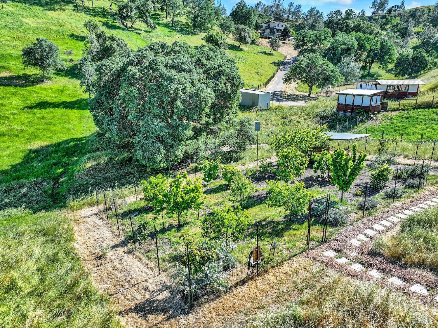 3922 Putah Ridge Trail Winters, CA 95694 - Photo 61 of 75