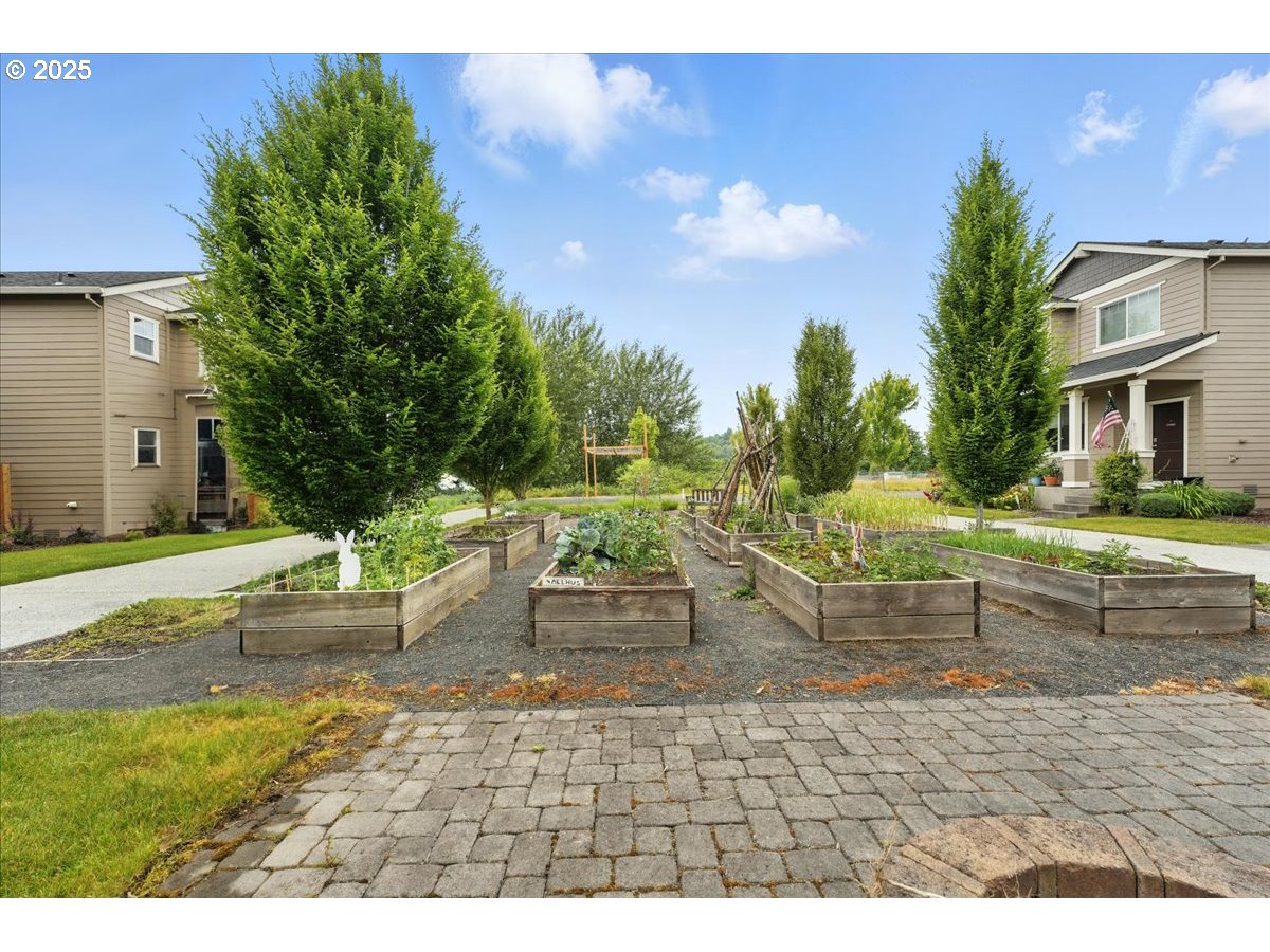 2103 Southeast 18th Alley Gresham, OR 97080 - Photo 18 of 25 a view of a yard with plants