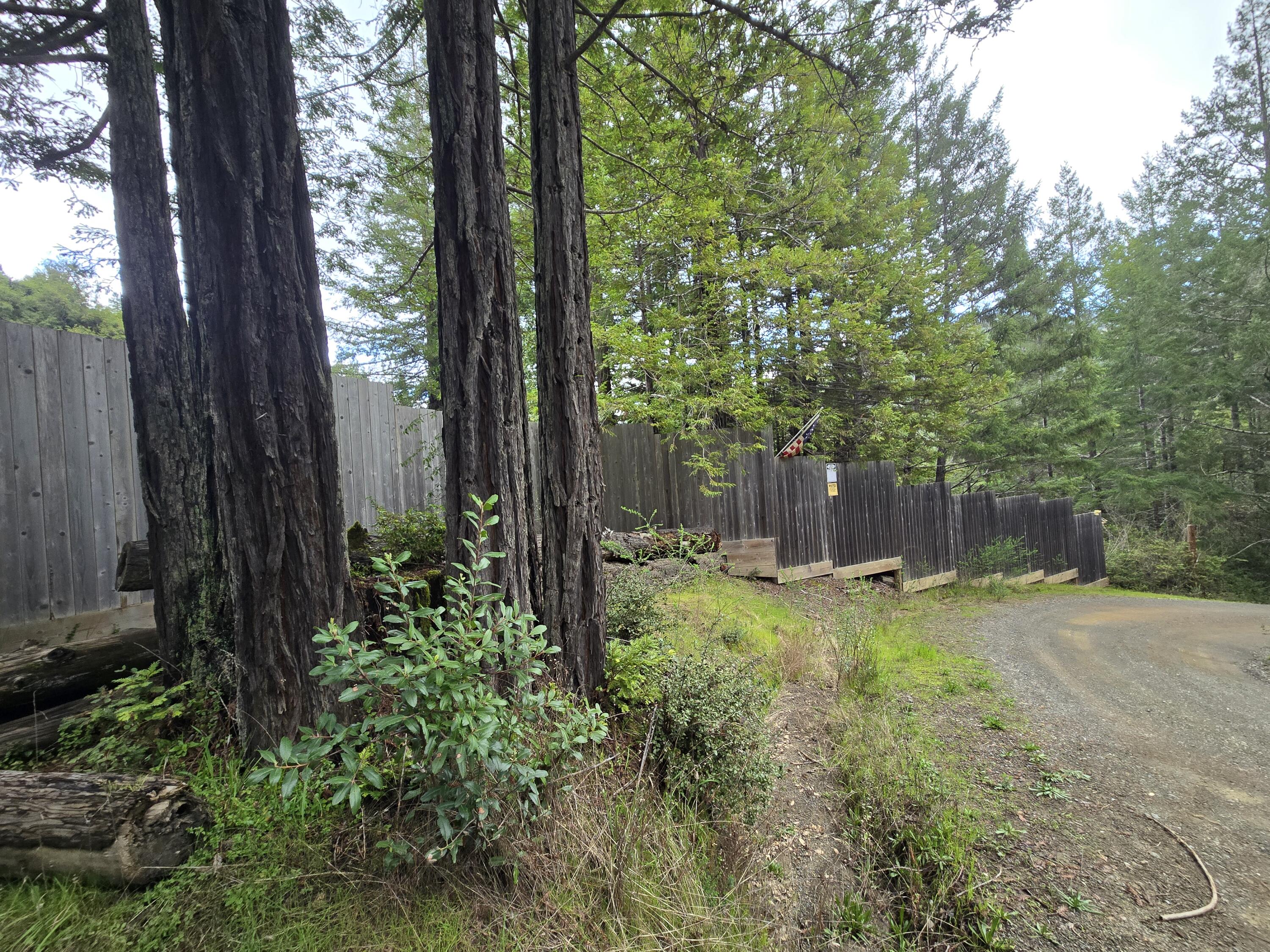 0 Sequoia Road Myers Flat, CA 95554 - Photo 29 of 36
