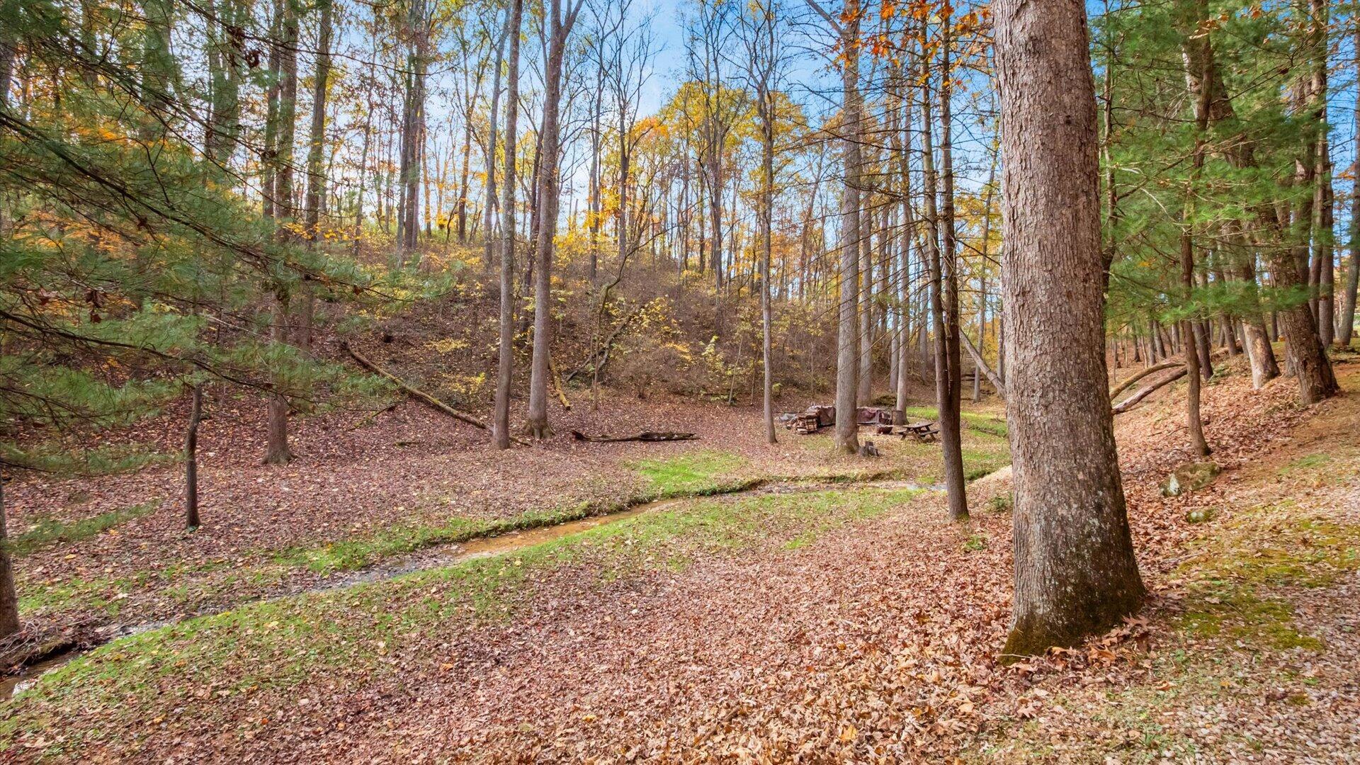 46585 Morning Star Road Racine, OH 45771 - Photo 43 of 50 60-z 46585 Morning Star108-2
