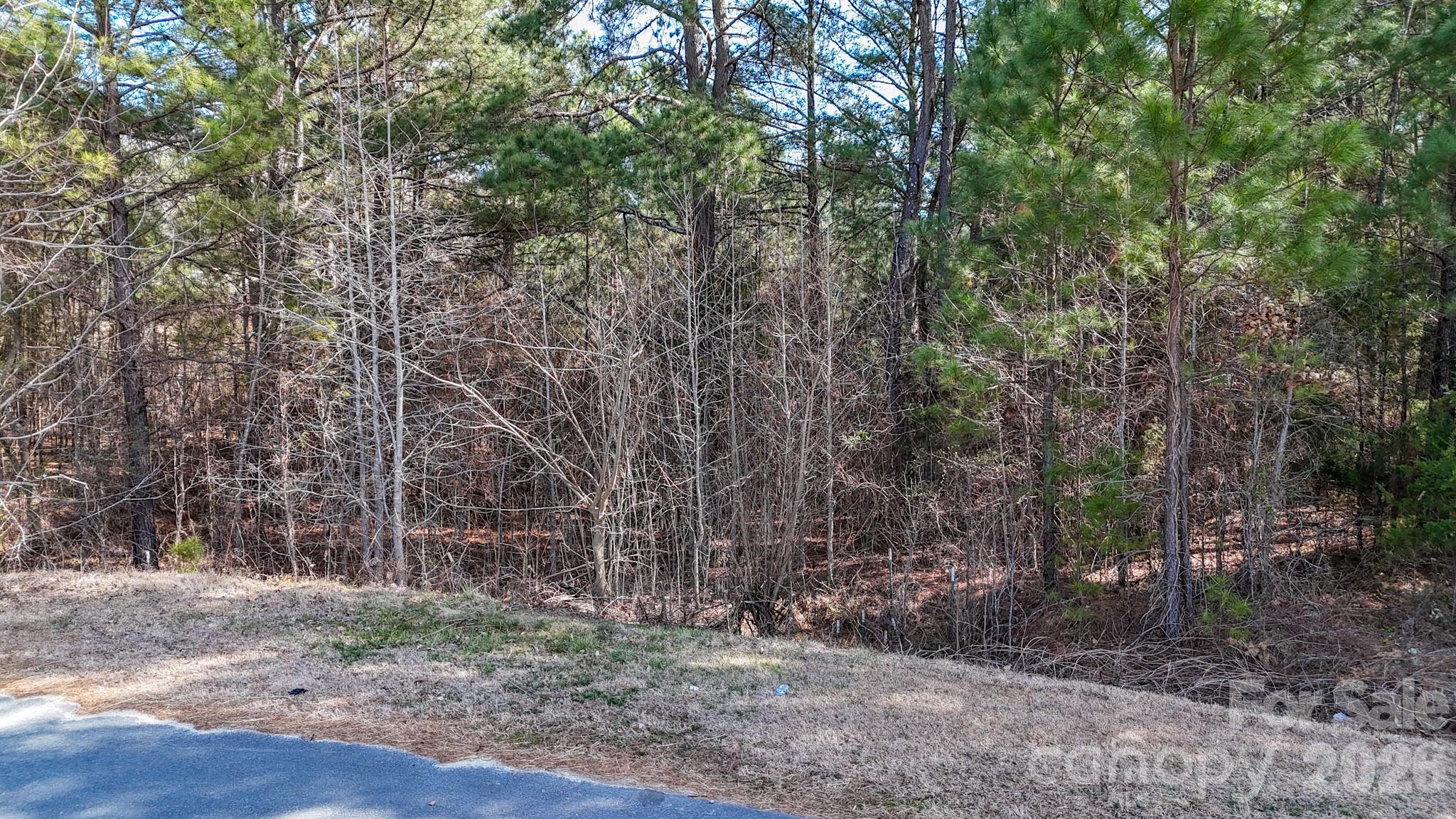 0 Sapp Road Kannapolis, NC 28083 - Photo 15 of 16