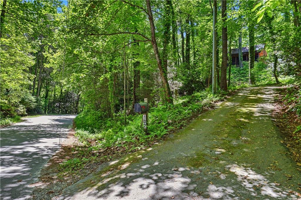 102 Moses Road Rabun Gap, GA 30568 - Photo 40 of 40 a view of a trees with a yard
