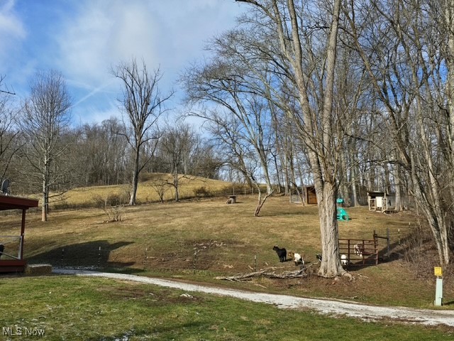 77900 Slater Road Cadiz, OH 43907 - Photo 6 of 19 Side pasture
