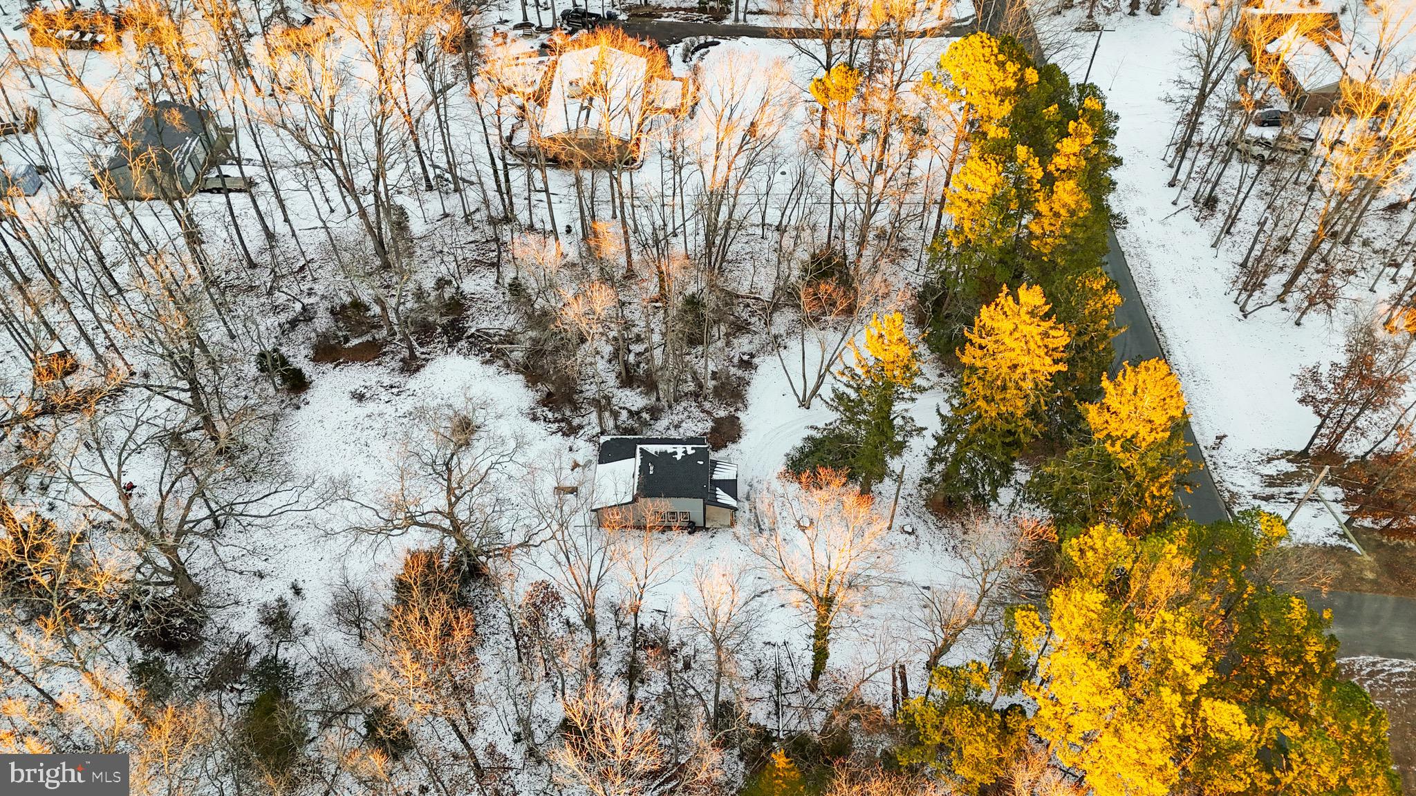 1711 Janvier Road Williamstown, NJ 08094 - Photo 21 of 24 a view of covered with trees