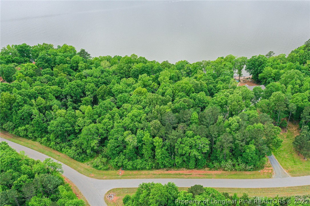 Lot 182 Vista Lane Rockingham, NC 28379 - Photo 1 of 9 an aerial view of a yard