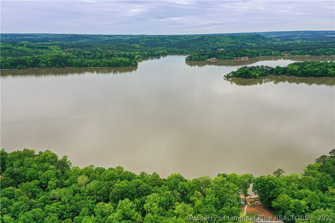 Lot 182 Vista Lane Rockingham, NC 28379 - Photo 4 of 9 a view of a lake with a city view
